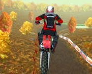 Motocross fever online